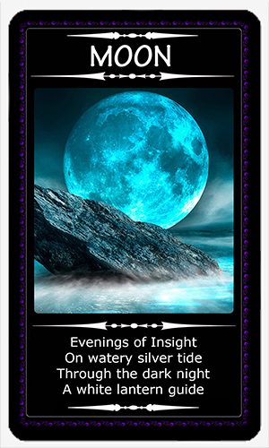 card-13